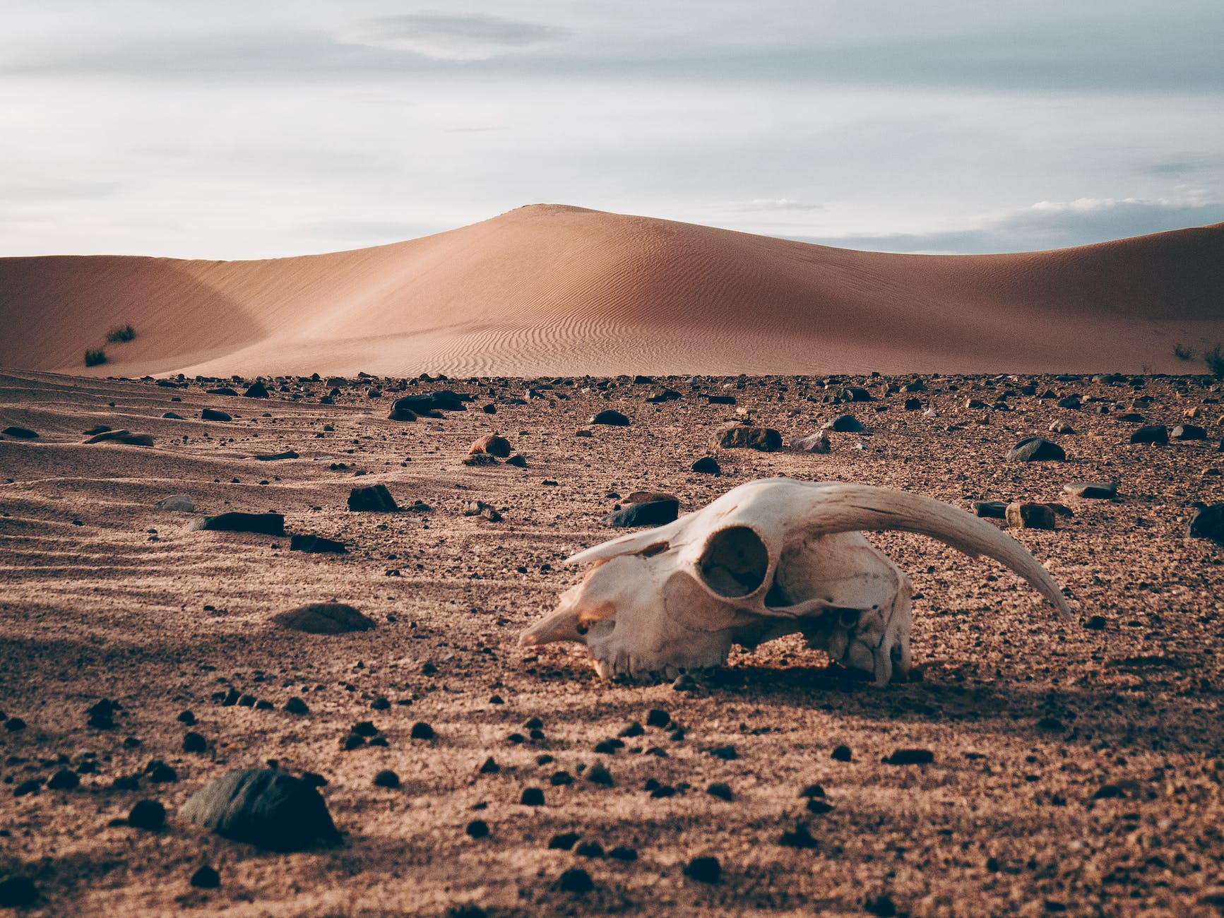 remnants on desert representing heat death explaining that even god doesn't know everything yet.