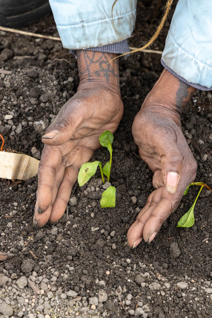 healthy nature people garden toward contextualizing faith the size of a mustard seed