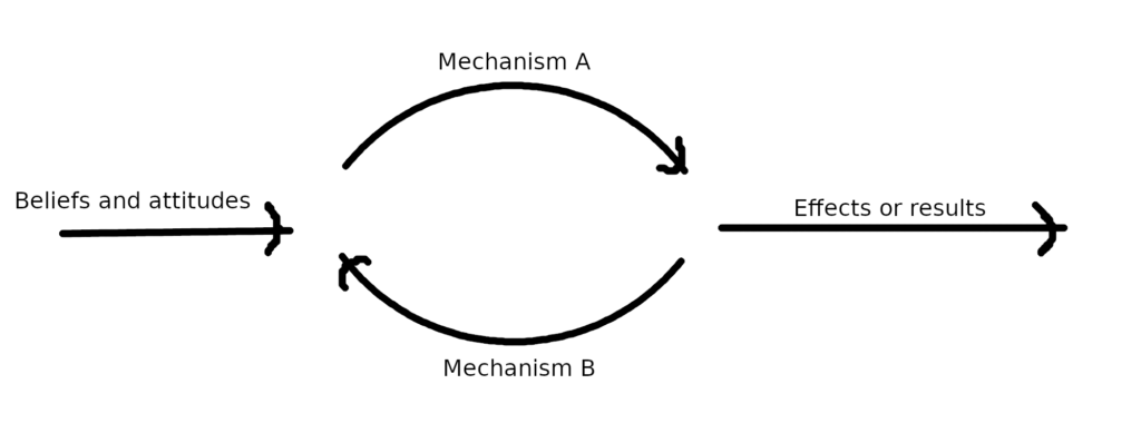 Diagram illustrating cause, mechanisms, and effect.