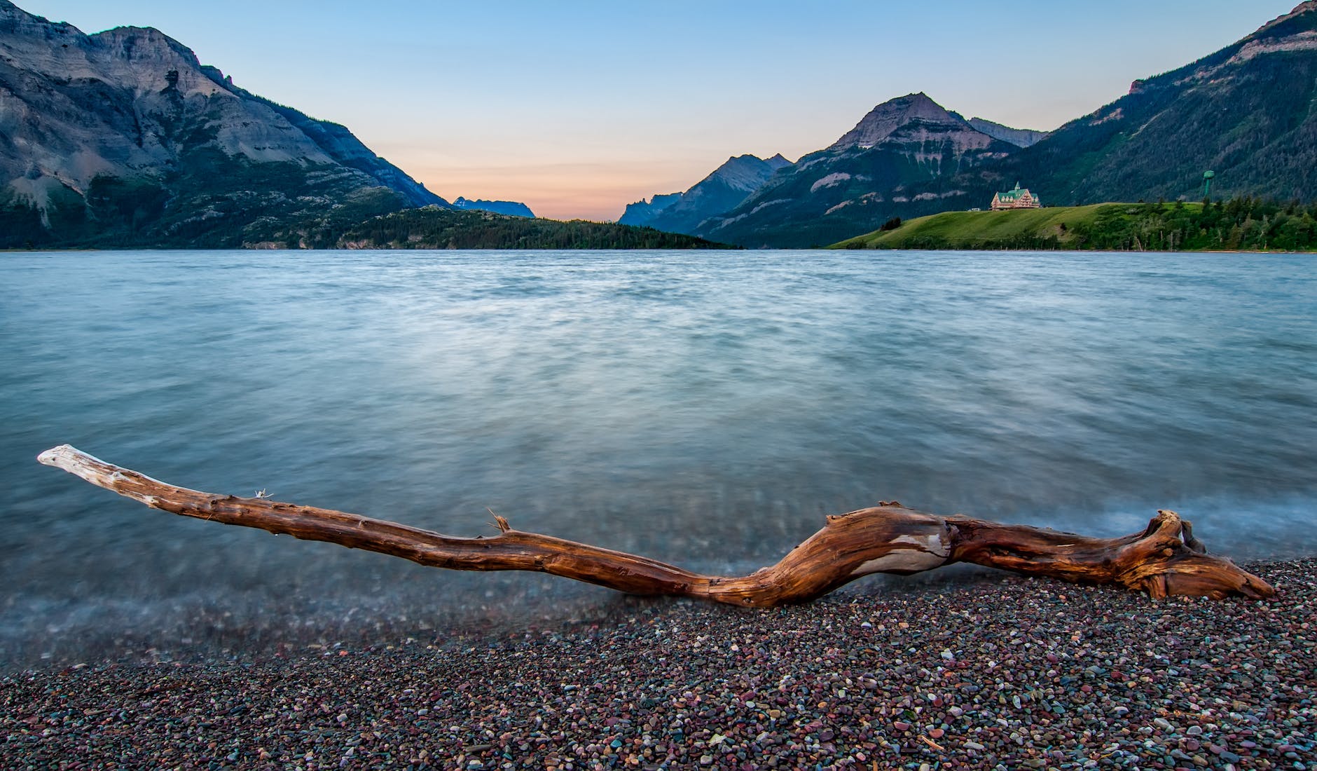 photo of a driftwood by the seashore representing two subjects in one