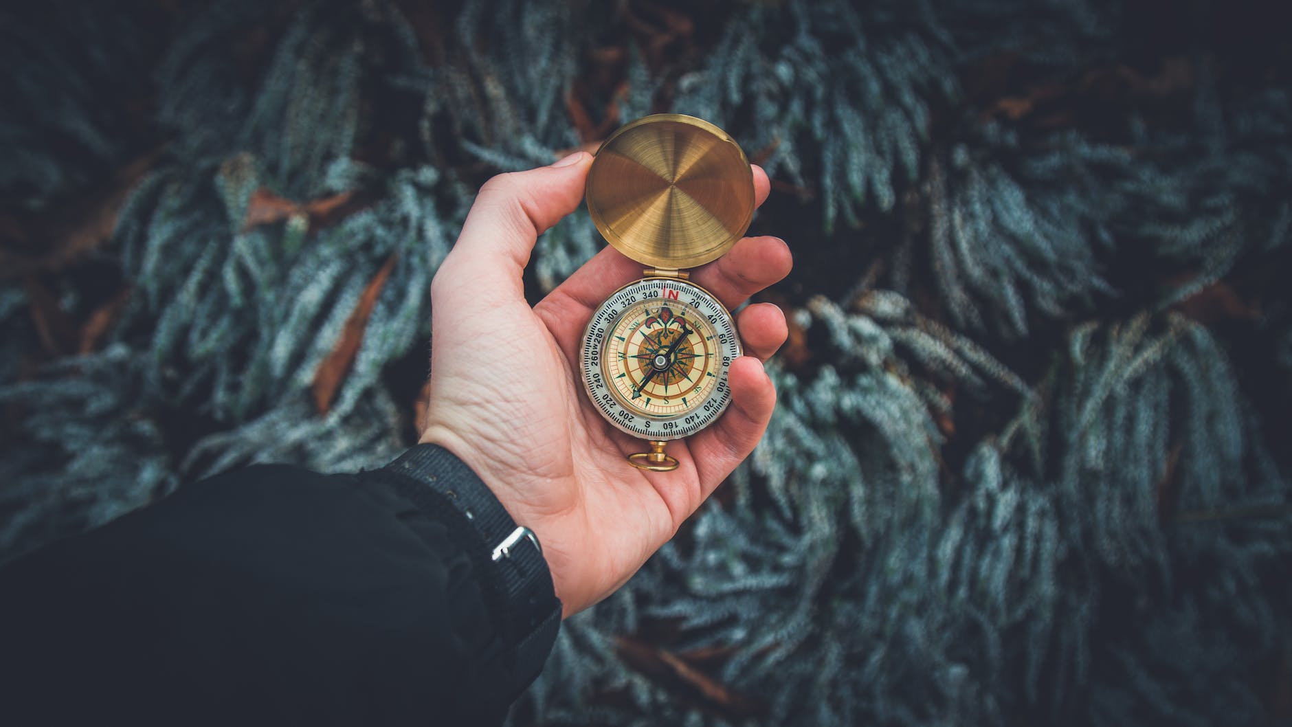 person holding compass illustrating the purpose of emotions
