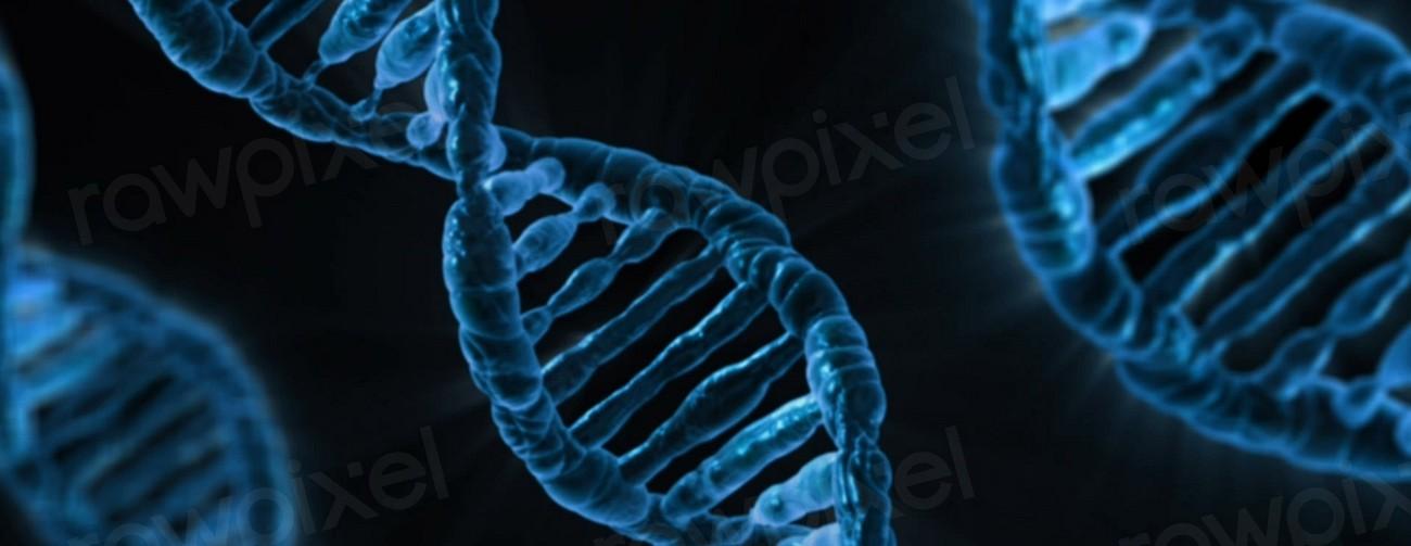 Dna. Original public domain image